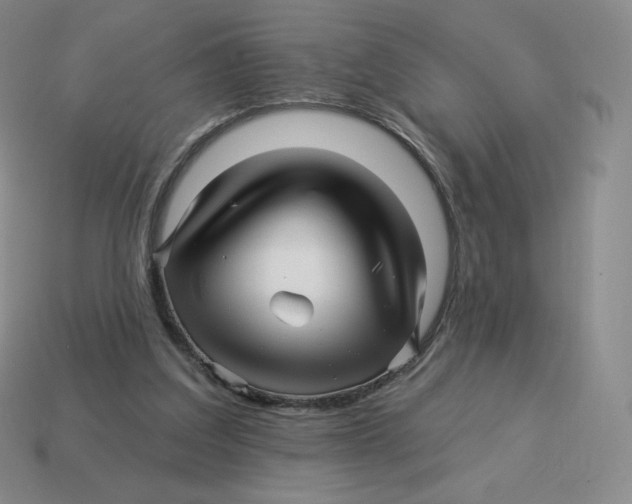 X0000114210203200911061452