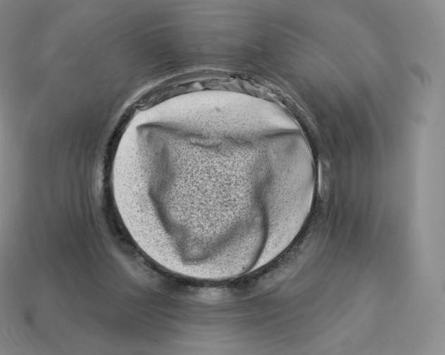 X0000114210204200911061452