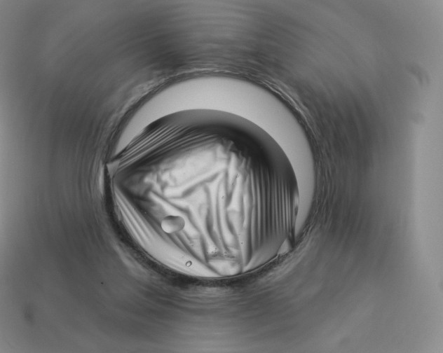 X0000114210205200911061452