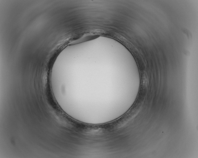 X0000114210206200911061452