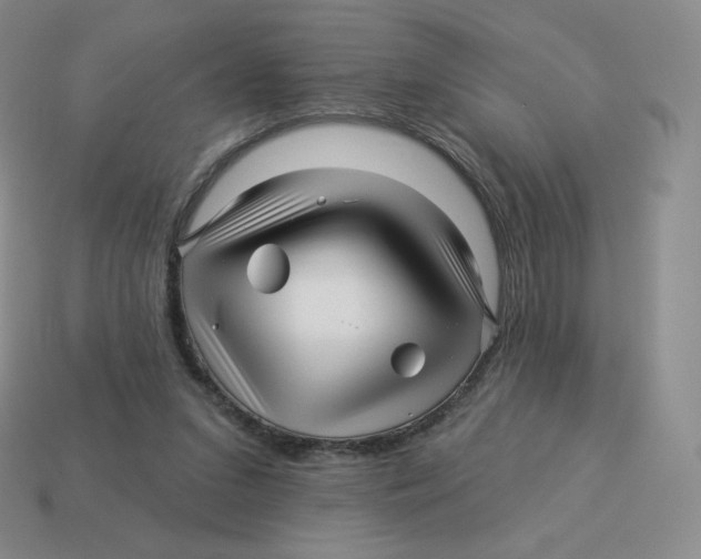 X0000114210207200911061452