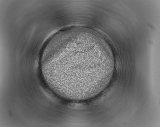 X0000114210208200911061452