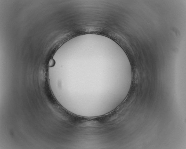 X0000114210210200911061452