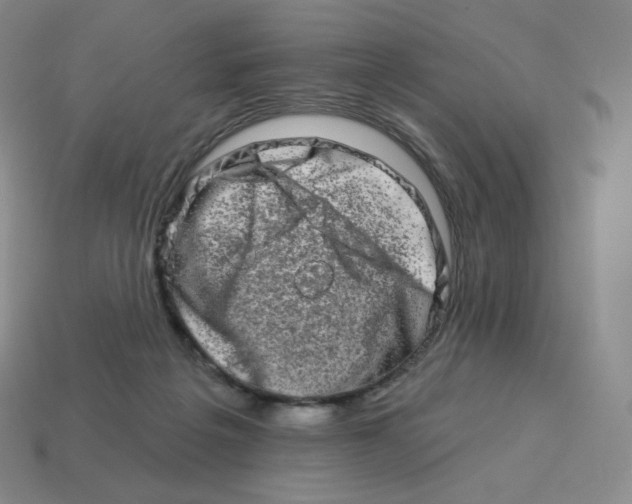 X0000114210217200911061452