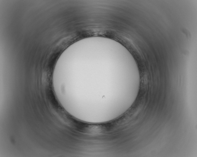 X0000114210218200911061452