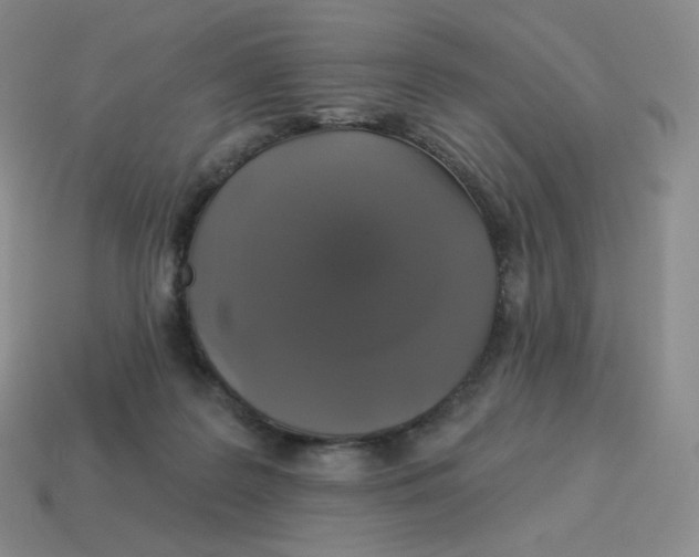 X0000114210219200911061452