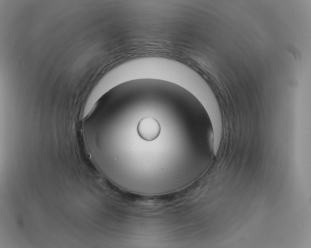 X0000114210221200911061452