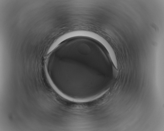 X0000114210223200911061452