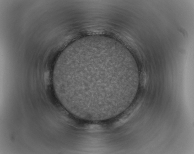 X0000114210224200911061452