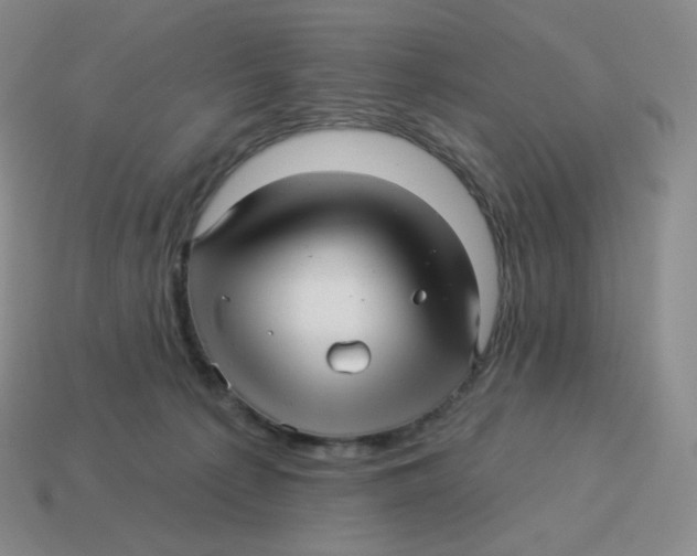 X0000114210225200911061452
