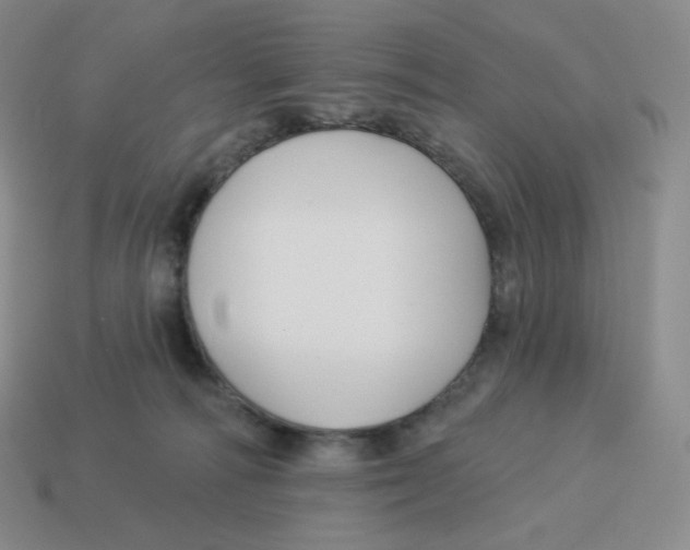 X0000114210226200911061452