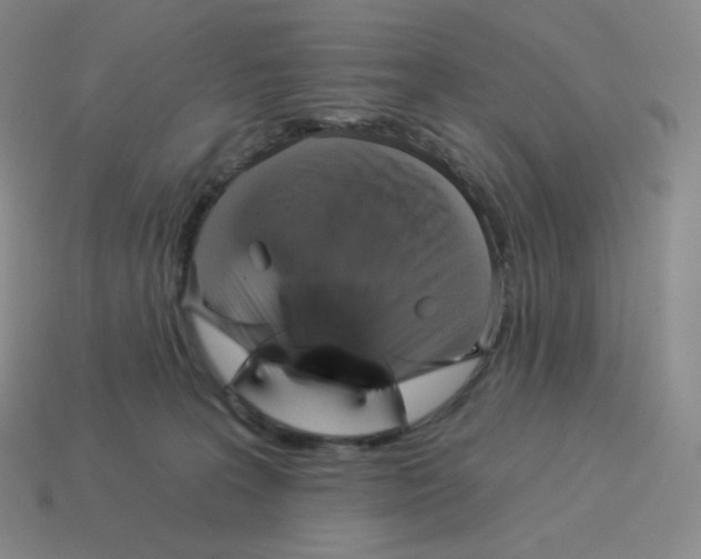 X0000114210227200911061452