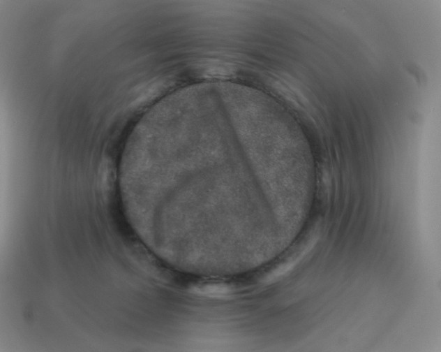 X0000114210228200911061452