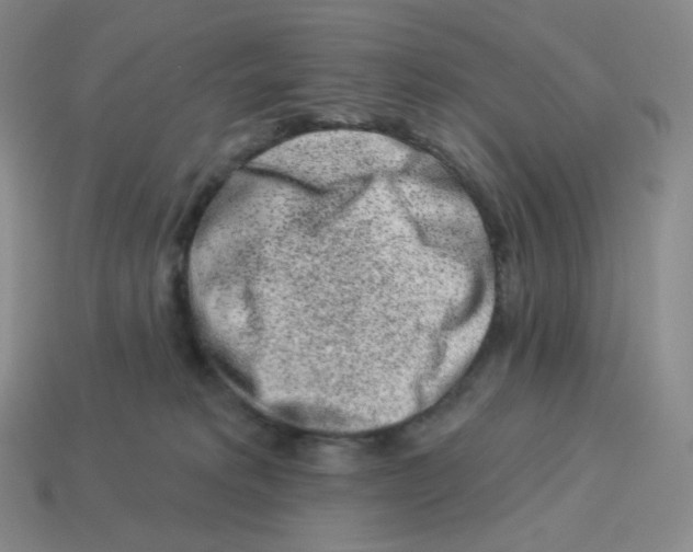 X0000114210229200911061452