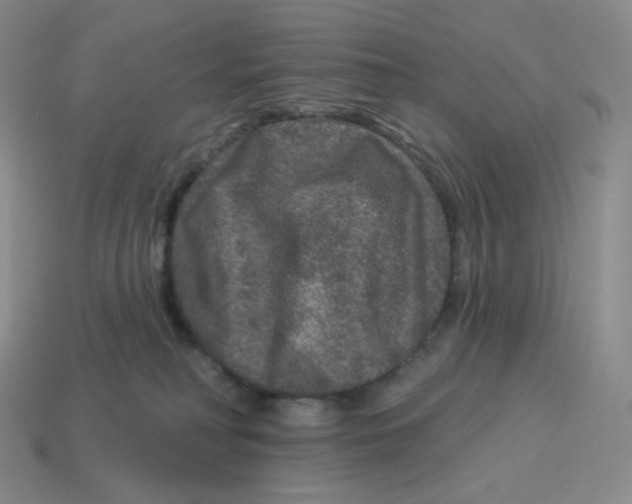 X0000114210230200911061452