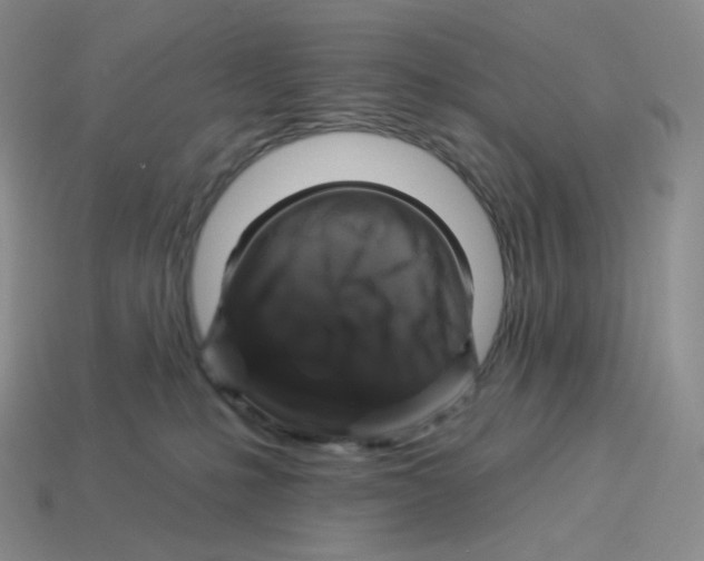 X0000114210231200911061452