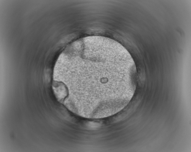 X0000114210232200911061452