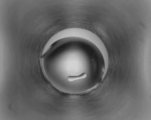 X0000114210233200911061452