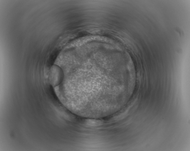 X0000114210234200911061452
