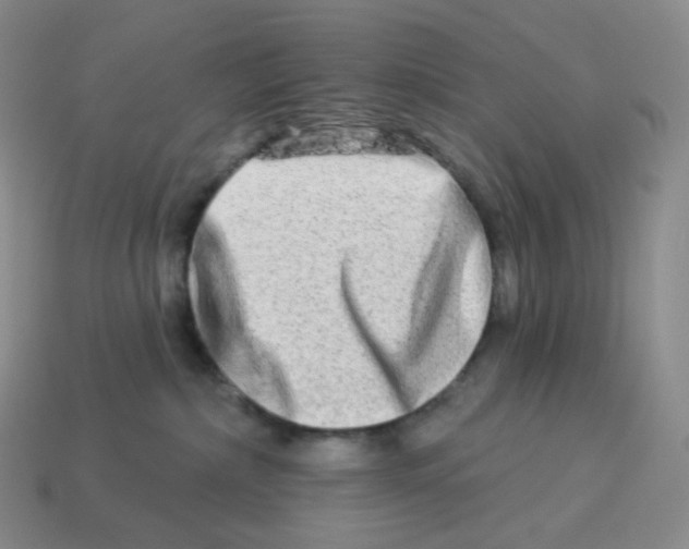 X0000114210236200911061452