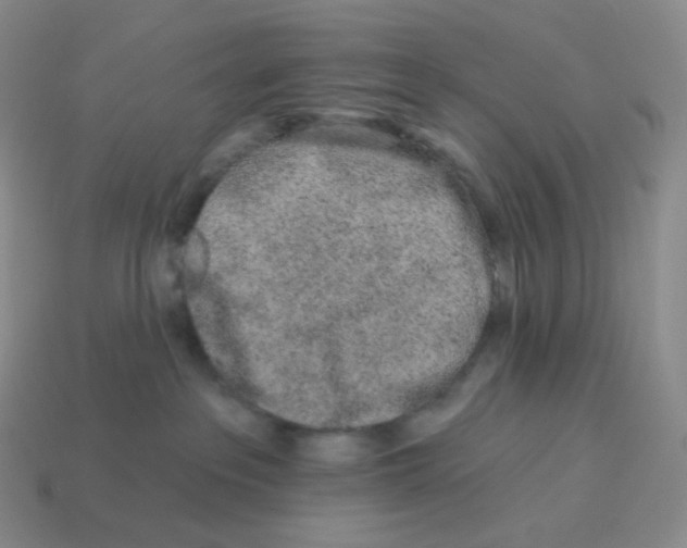 X0000114210237200911061452
