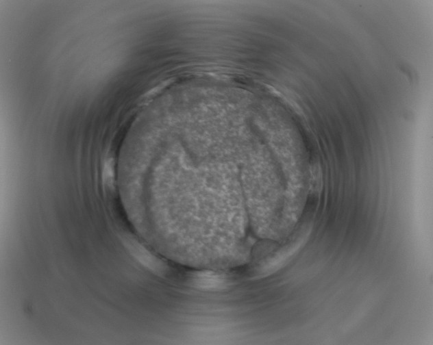 X0000114210238200911061452