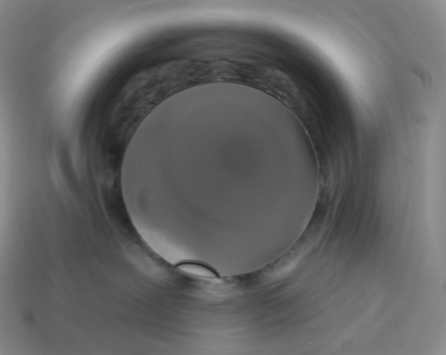 X0000114210239200911061452