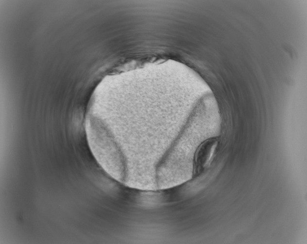 X0000114210240200911061452
