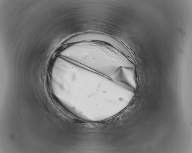 X0000114210241200911061451