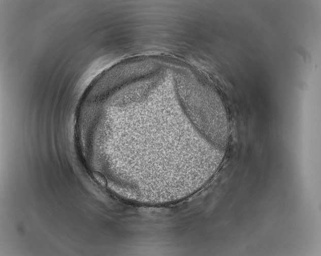 X0000114210242200911061451