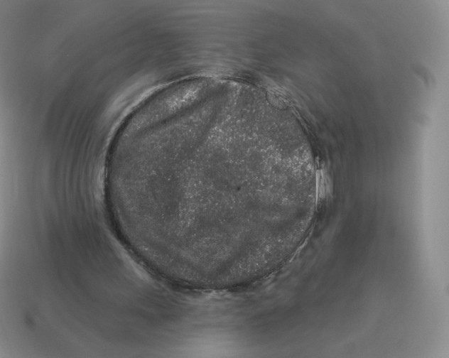 X0000114210243200911061451