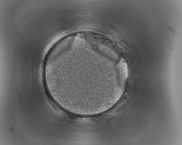 X0000114210244200911061451