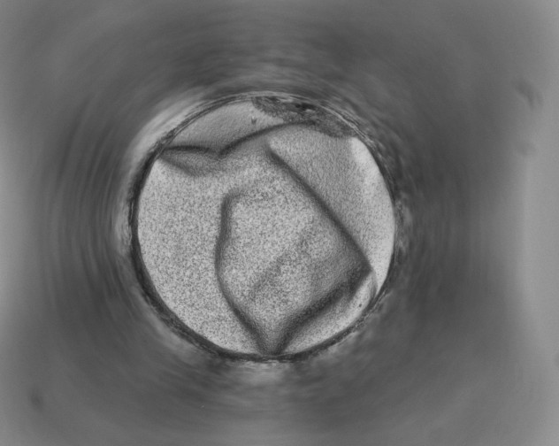 X0000114210245200911061451