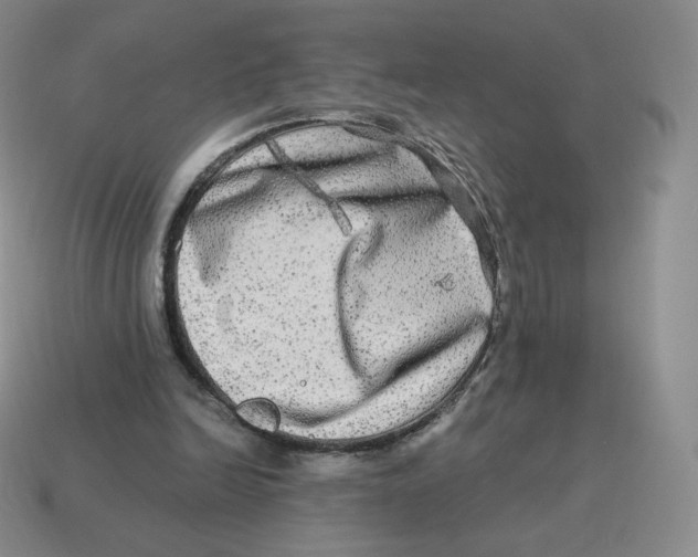 X0000114210246200911061451