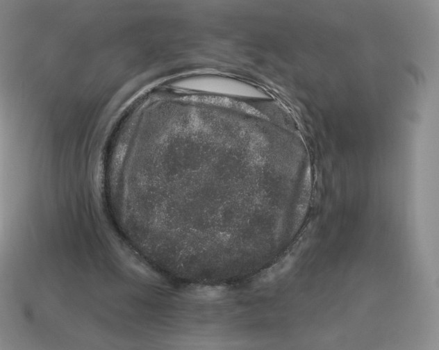 X0000114210247200911061451