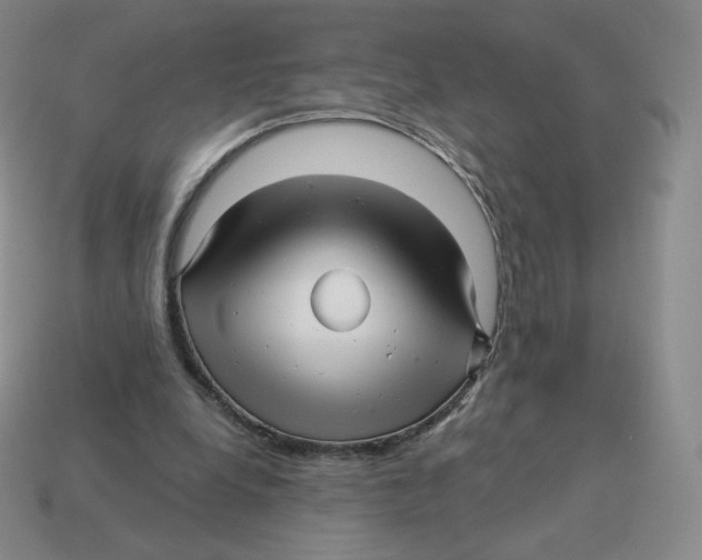 X0000114210248200911061451