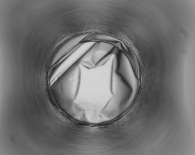 X0000114210249200911061451