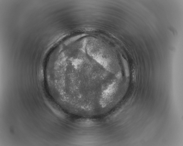 X0000114210254200911061451