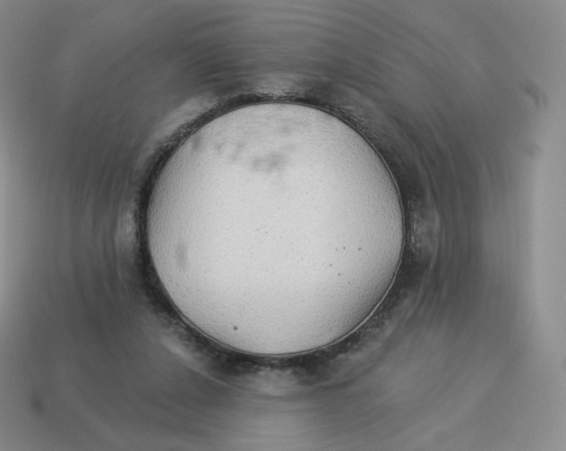 X0000114210256200911061451