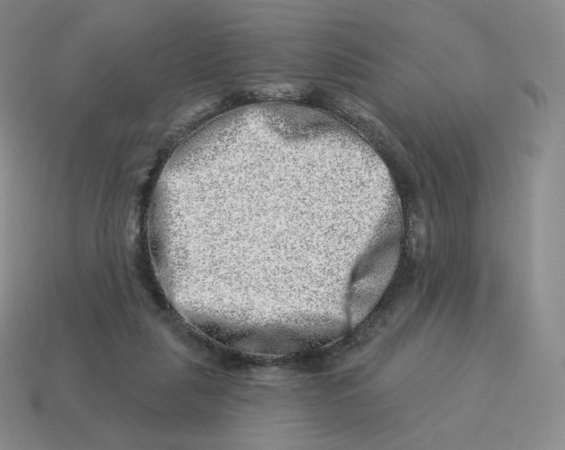X0000114210259200911061452