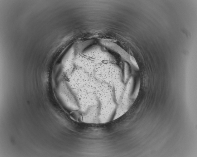 X0000114210260200911061452