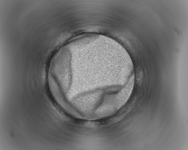 X0000114210261200911061452