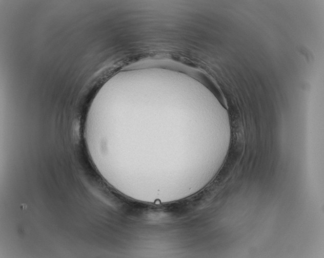 X0000114210262200911061452