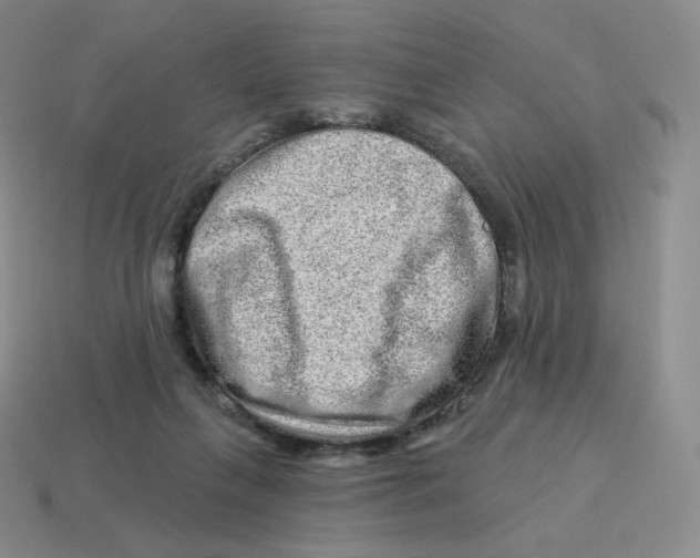 X0000114210263200911061452