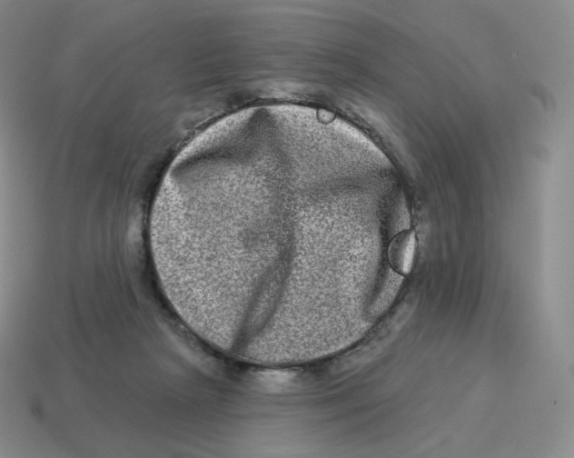 X0000114210265200911061452
