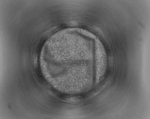 X0000114210267200911061452