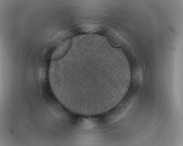 X0000114210268200911061452
