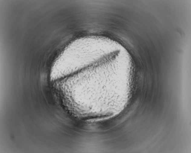 X0000114210269200911061452