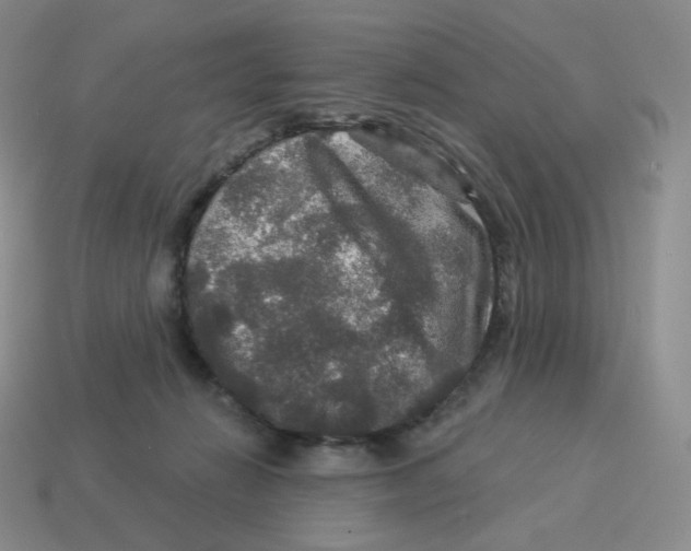 X0000114210270200911061452