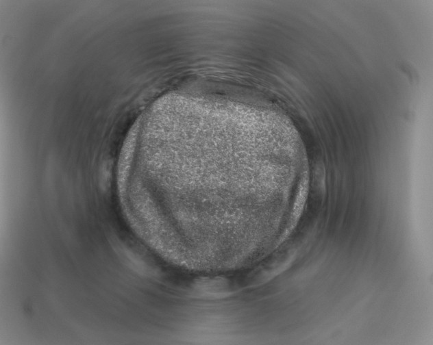 X0000114210271200911061452